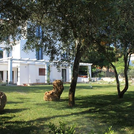 Villa La Conchiglia Rooms Cala Liberotto Eksteriør bilde