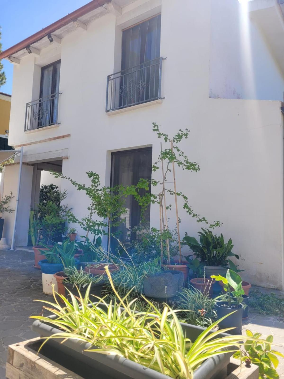 Villa La Conchiglia Rooms Cala Liberotto Eksteriør bilde
