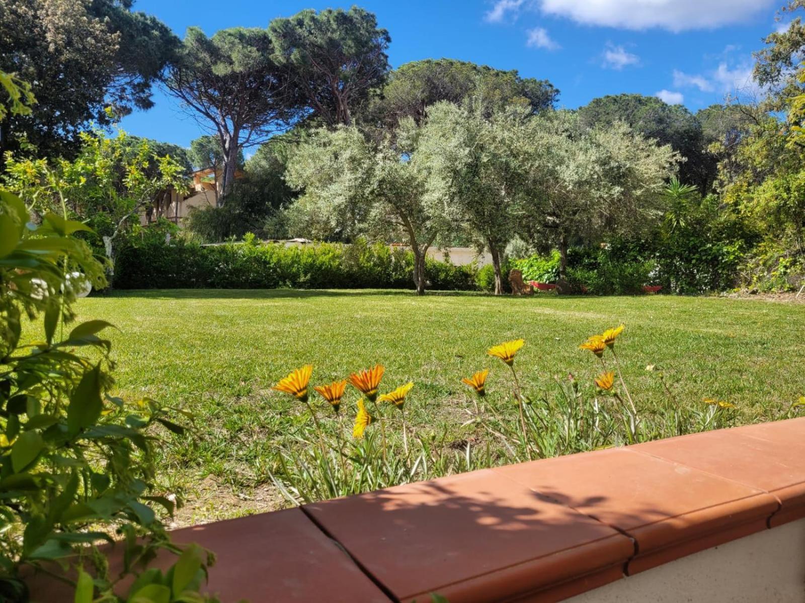 Villa La Conchiglia Rooms Cala Liberotto Eksteriør bilde