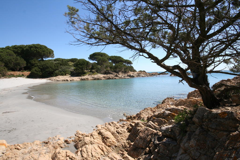 Villa La Conchiglia Rooms Cala Liberotto Eksteriør bilde