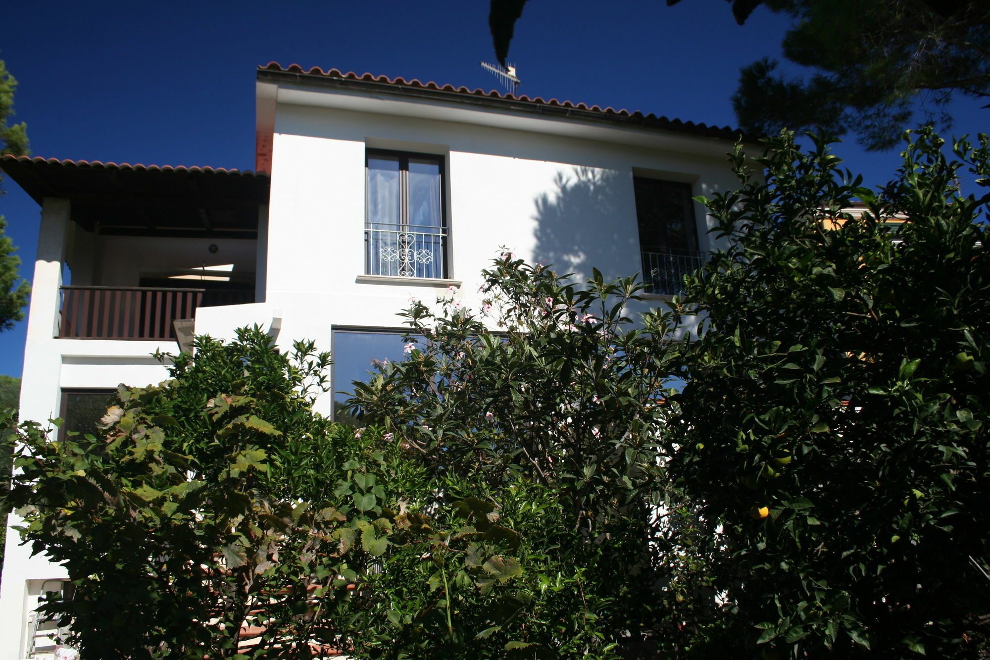 Villa La Conchiglia Rooms Cala Liberotto Eksteriør bilde