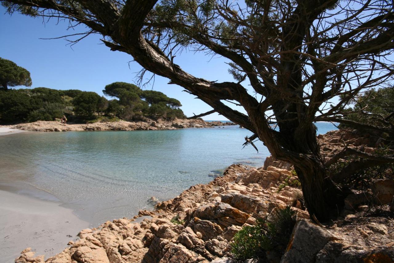 Villa La Conchiglia Rooms Cala Liberotto Eksteriør bilde